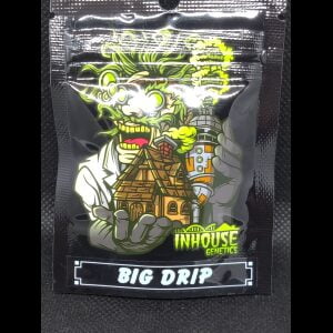 Big Drip Fems Packs Plus Freebie Chitown Seeds