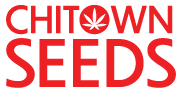 ChiTown Seeds