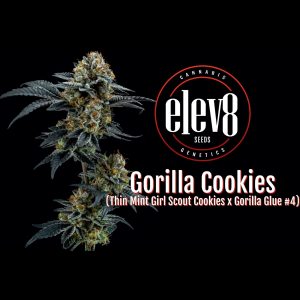 Gorilla Cookies 6 Pack