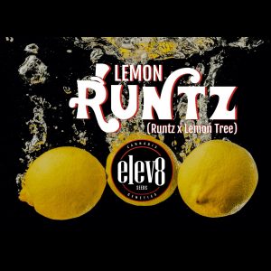 Lemon Runtz 6 Pack