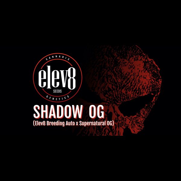 Shadow OG 6 Pack