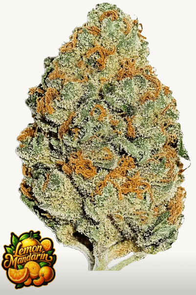 LEMON MANDARIN FEMS
