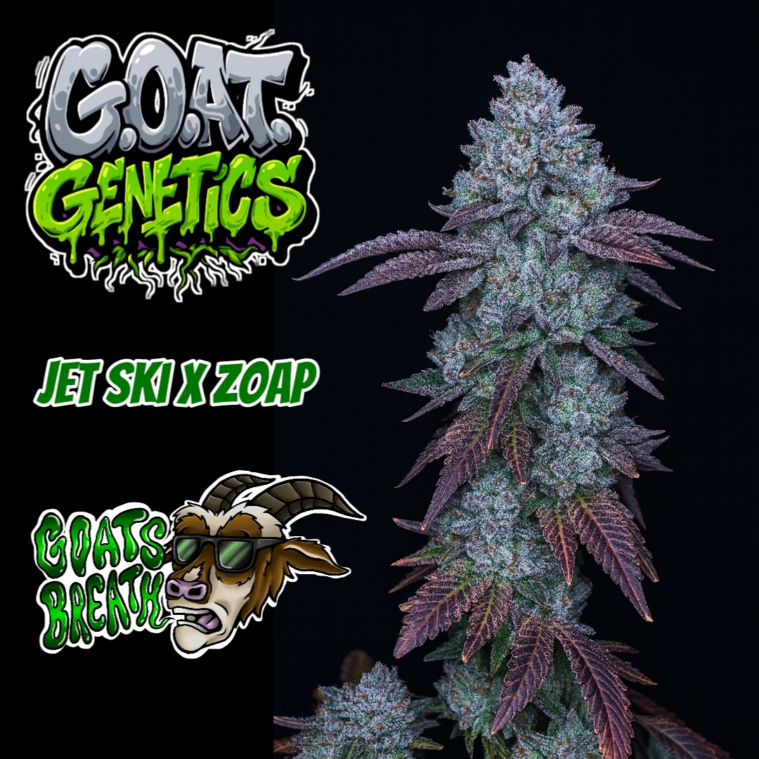 Goats Breath — G.O.A.T Genetics - 5ct Fems