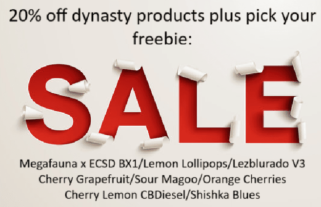 Screenshot 2025-11-04 055342